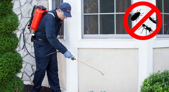 Limontepe Tahtakurusu İlaçlama böcek ilaçlama ve haşere kontrolü — ilaclama-tr.com
